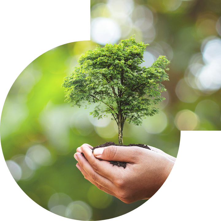 關懷人類、文化、環境與社會